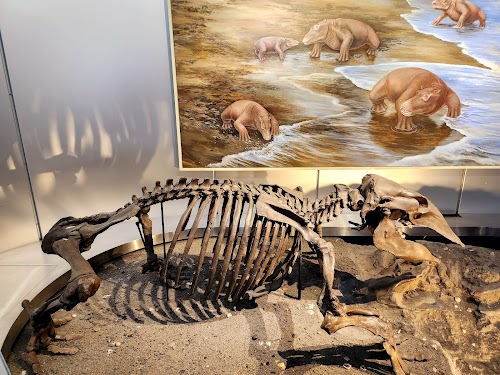 Geological Museum