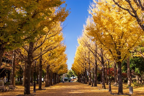 Doho Park