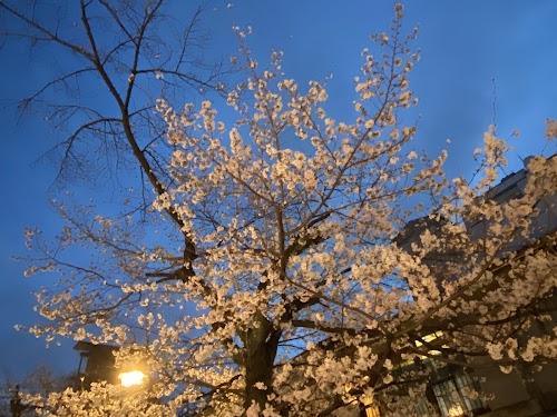 Kiyamachi Dori