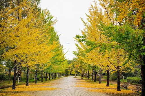 Chichibu Muse Park