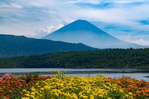 Saiko Lake