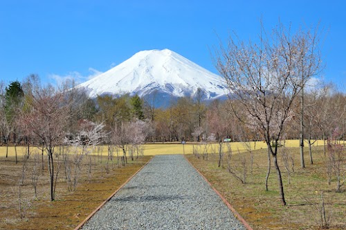Fuji Walking Park