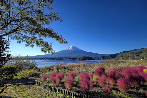 Oishi Park