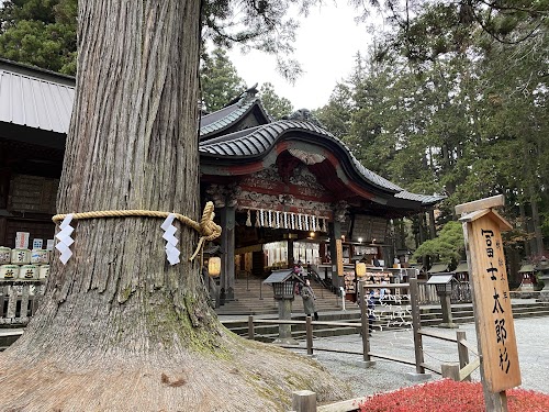 Zuijinmon