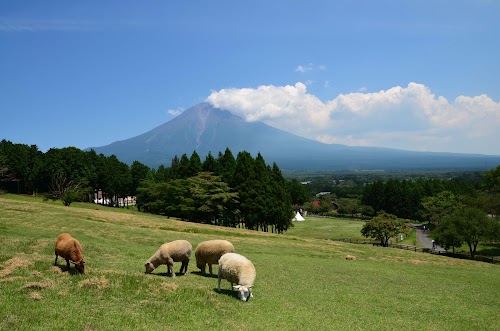 Makaino Farm Resort