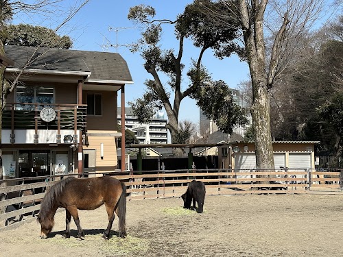 Yoyogi Pony Park