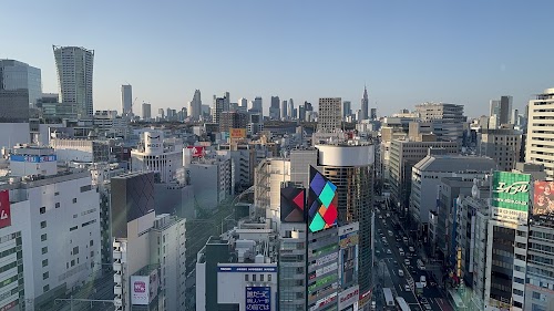 Shibuya Scramble Crossing