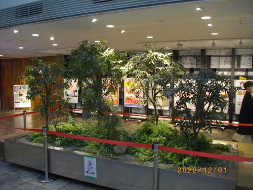 Shibuya Mark City