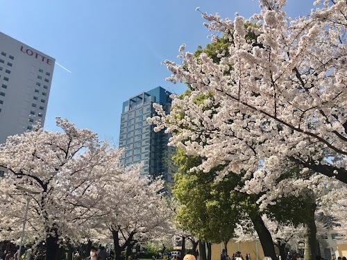 Kinshi Park