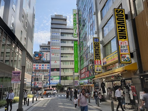 Akihabara Park