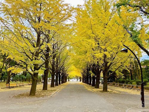  Hikarigaoka Park location image photo