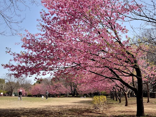  Oizumi Central Park location image photo