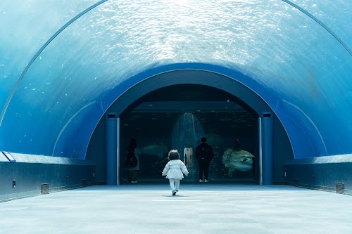 Yokohama Hakkeijima Sea Paradise